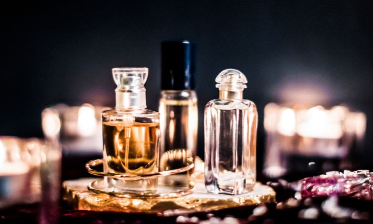 North America Flavours and Fragrances Market Size, Share, and Dynamics (2025-2033)