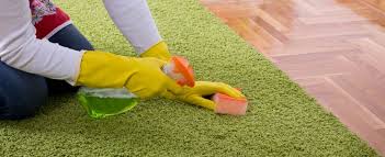 Organic Carpet Cleaning