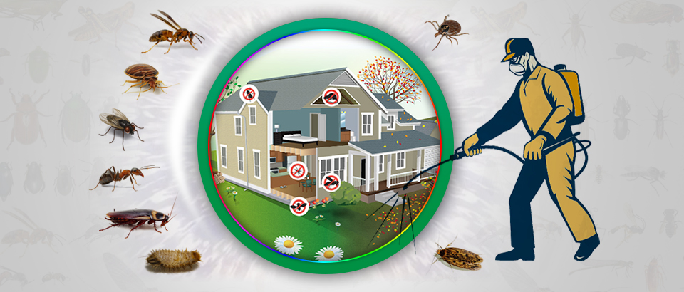 termite control services