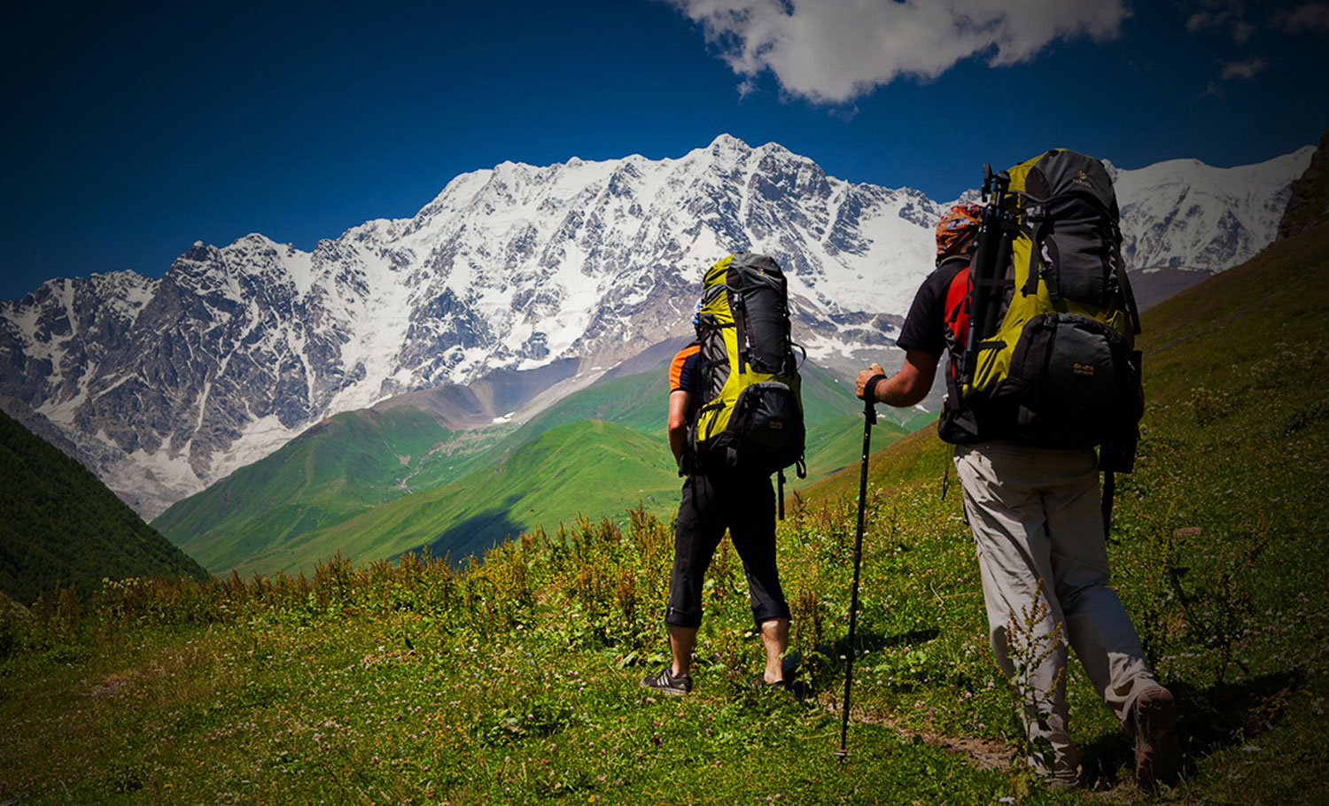 GAUMUKH TAPOVAN TREK