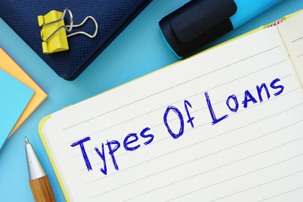 types of loans in India d