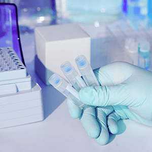 C. elegans Model Organism and Its Genotyping