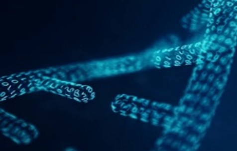 DNA Methylation Analysis