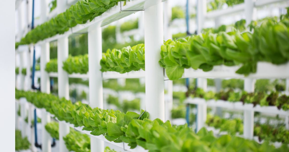 Mercado-de-Agricultura-Vertical-en-Mexico