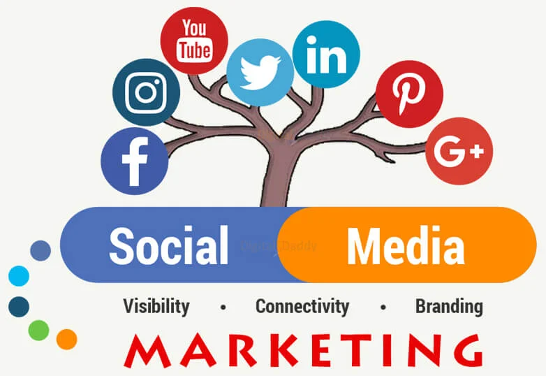 Social Media Marketing Agency in Delhi