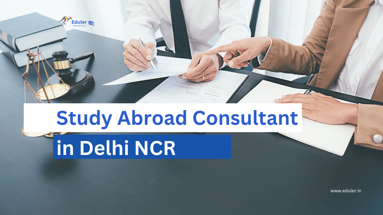 Study Abroad Consultant in Delhi NCR