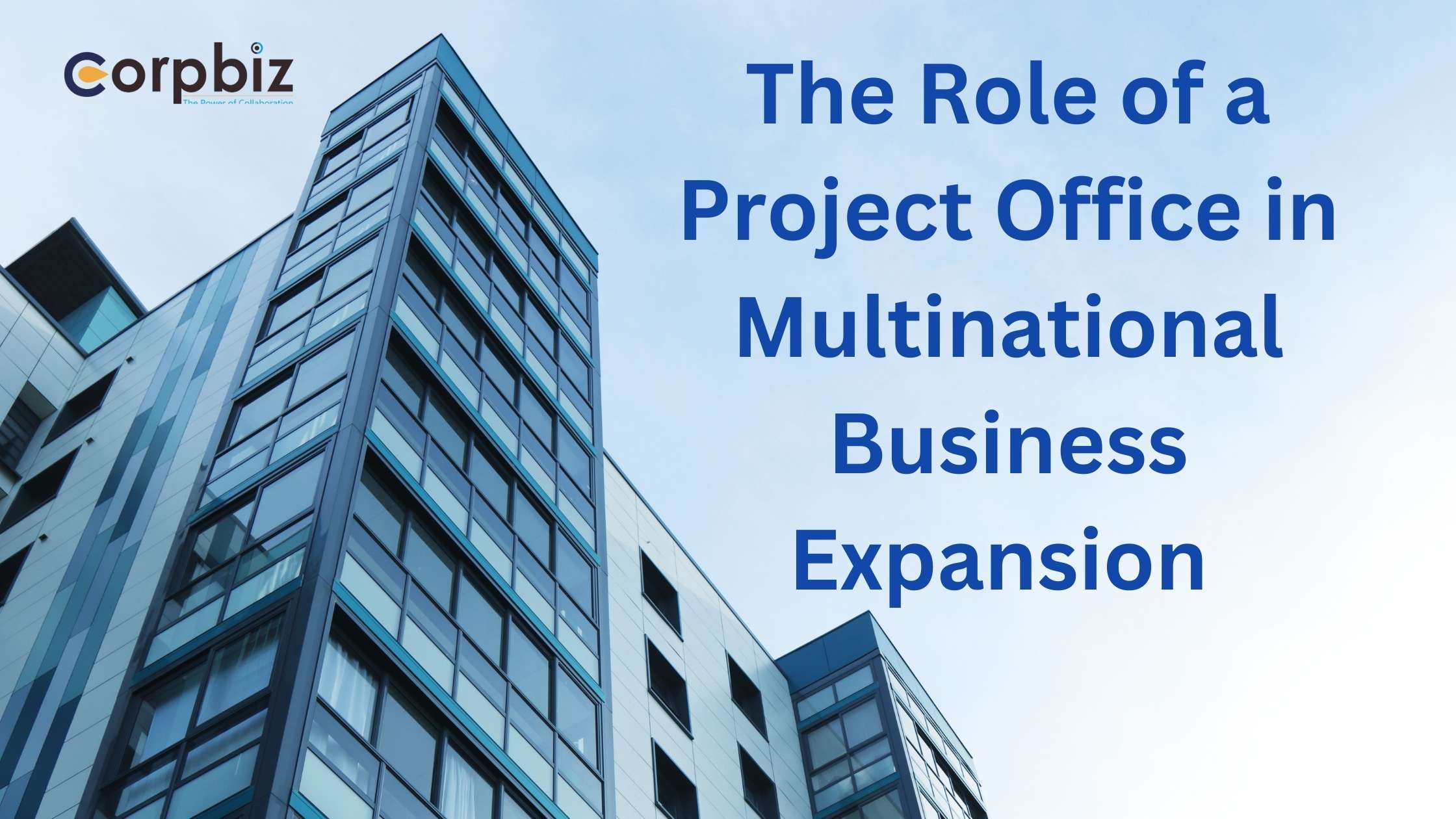 The Role of a Project Office in Multinational Business Expansion (1)