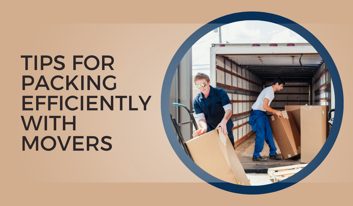 Packers and movers in Ajman