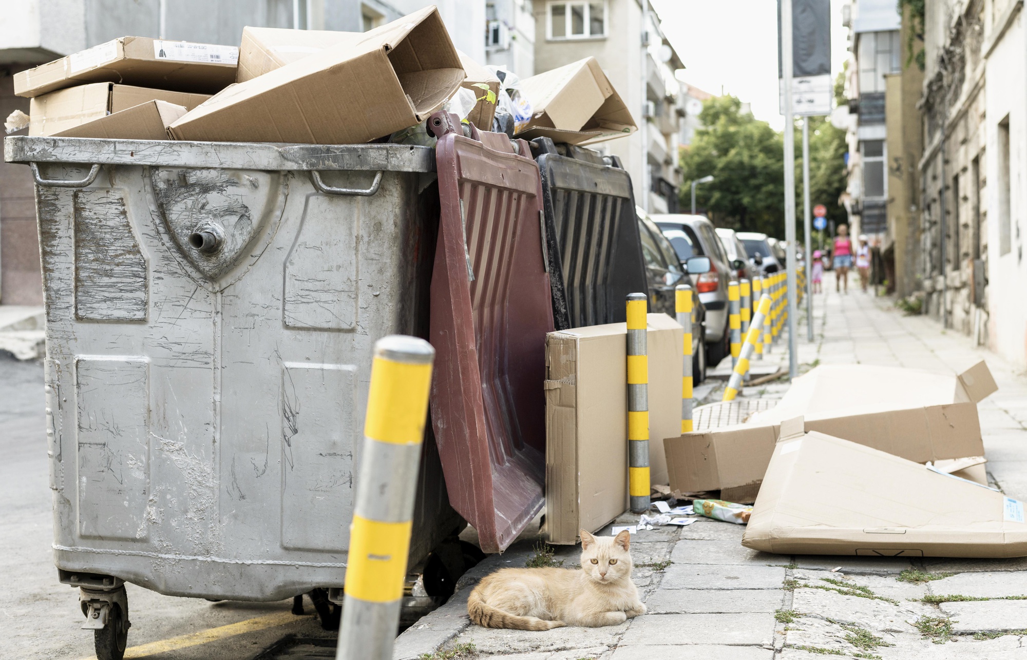 Simplify Your Life with Professional Junk Removal in Portland