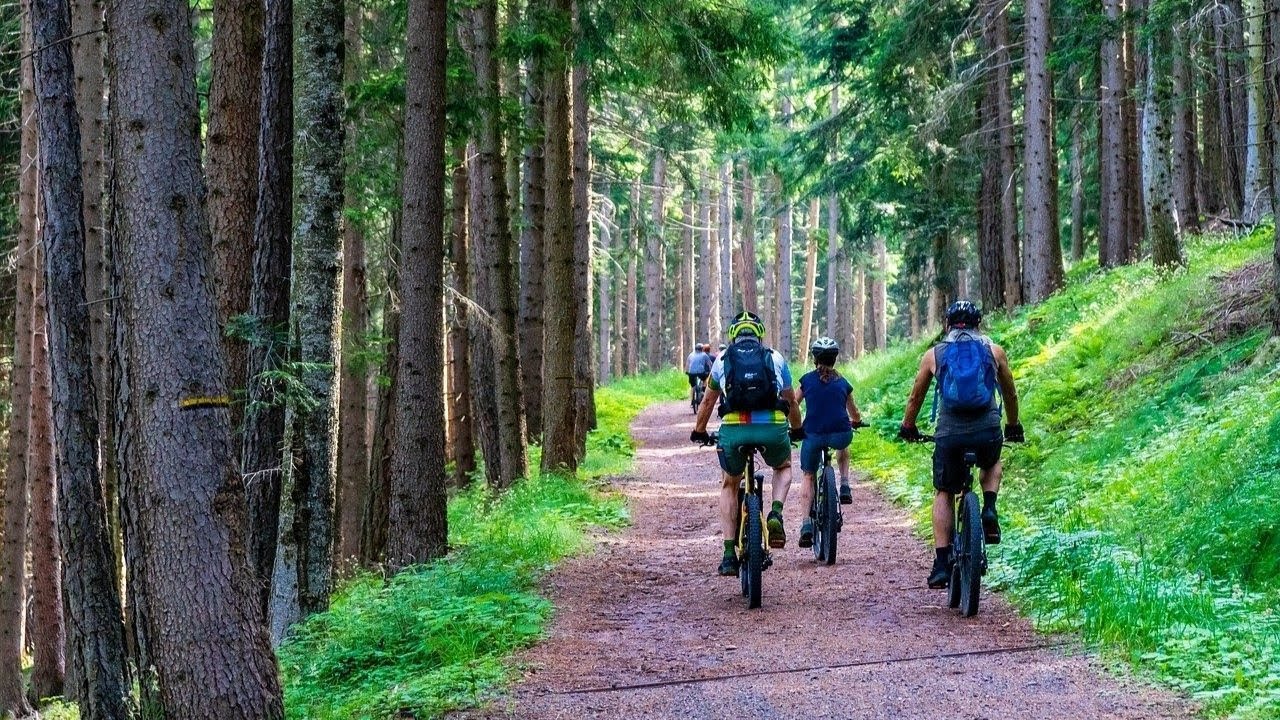 Adventure Activities in Lithuania: Hiking, Biking, and Beyond