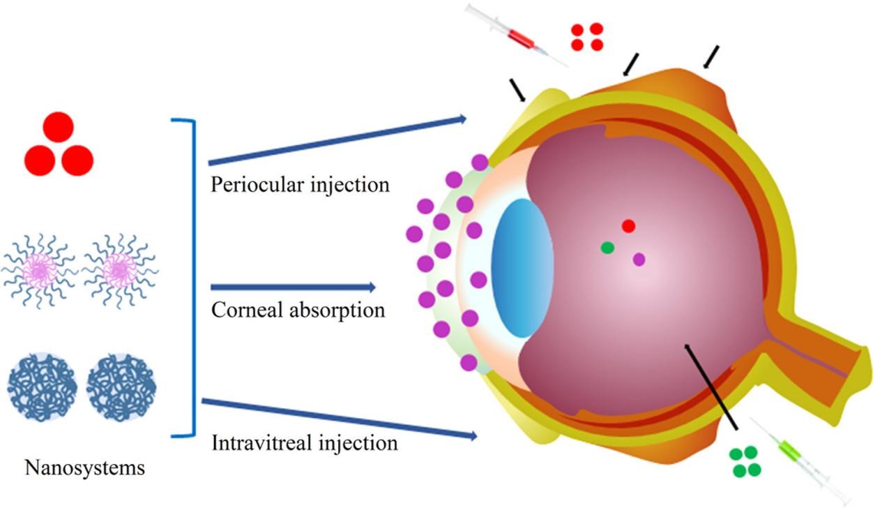 ophthalmic disease therapeutics development