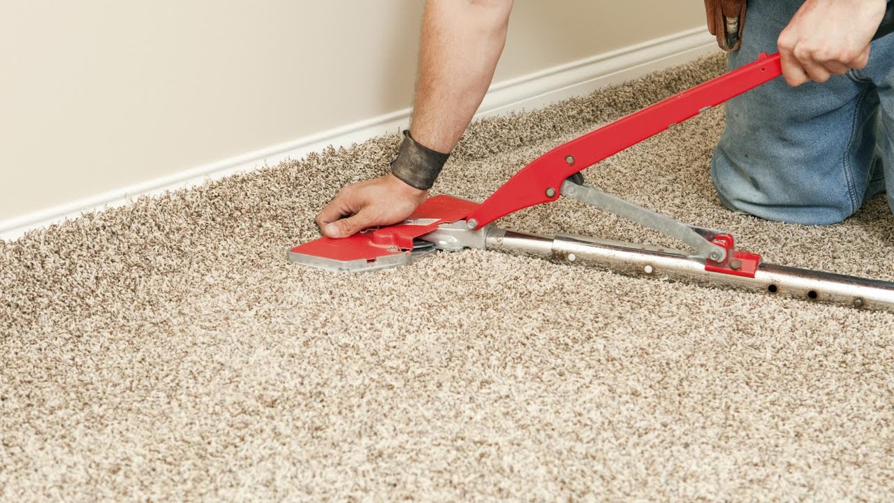 professional carpet stretching services in Columbia